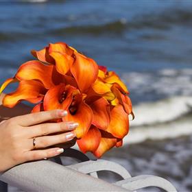 fwthumbwedding - flowers - in Cornwall - Flowertime Florist - -weddingflowersinCornwall 3100x2067.jpg